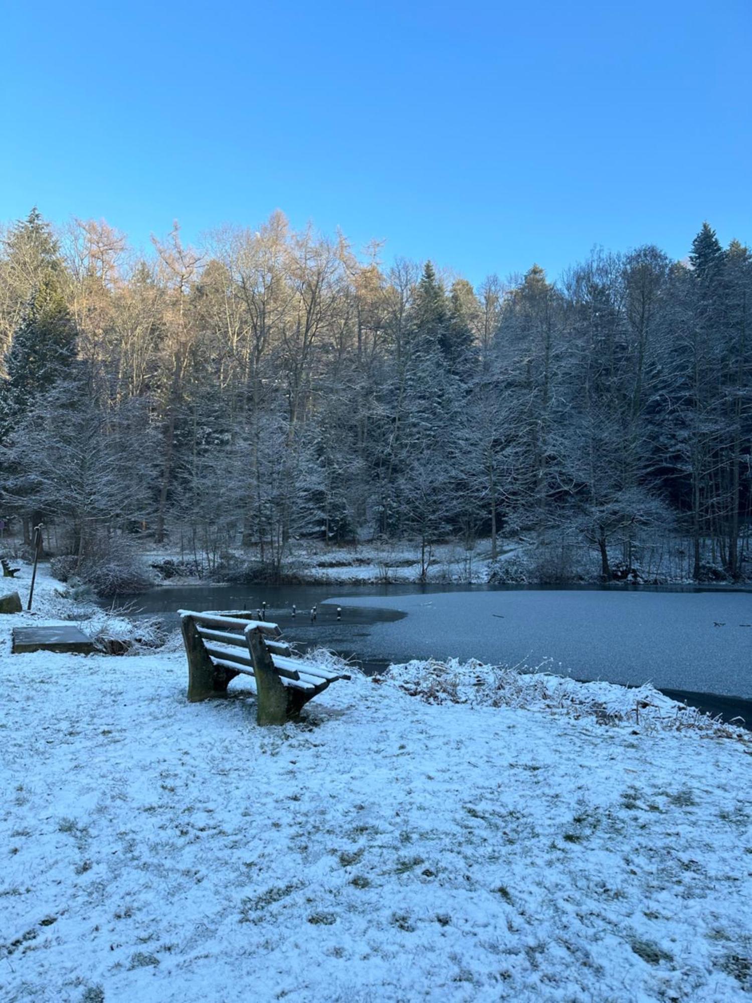 Fewo “Ruhige Momente” In Waldkirch Eksteriør bilde