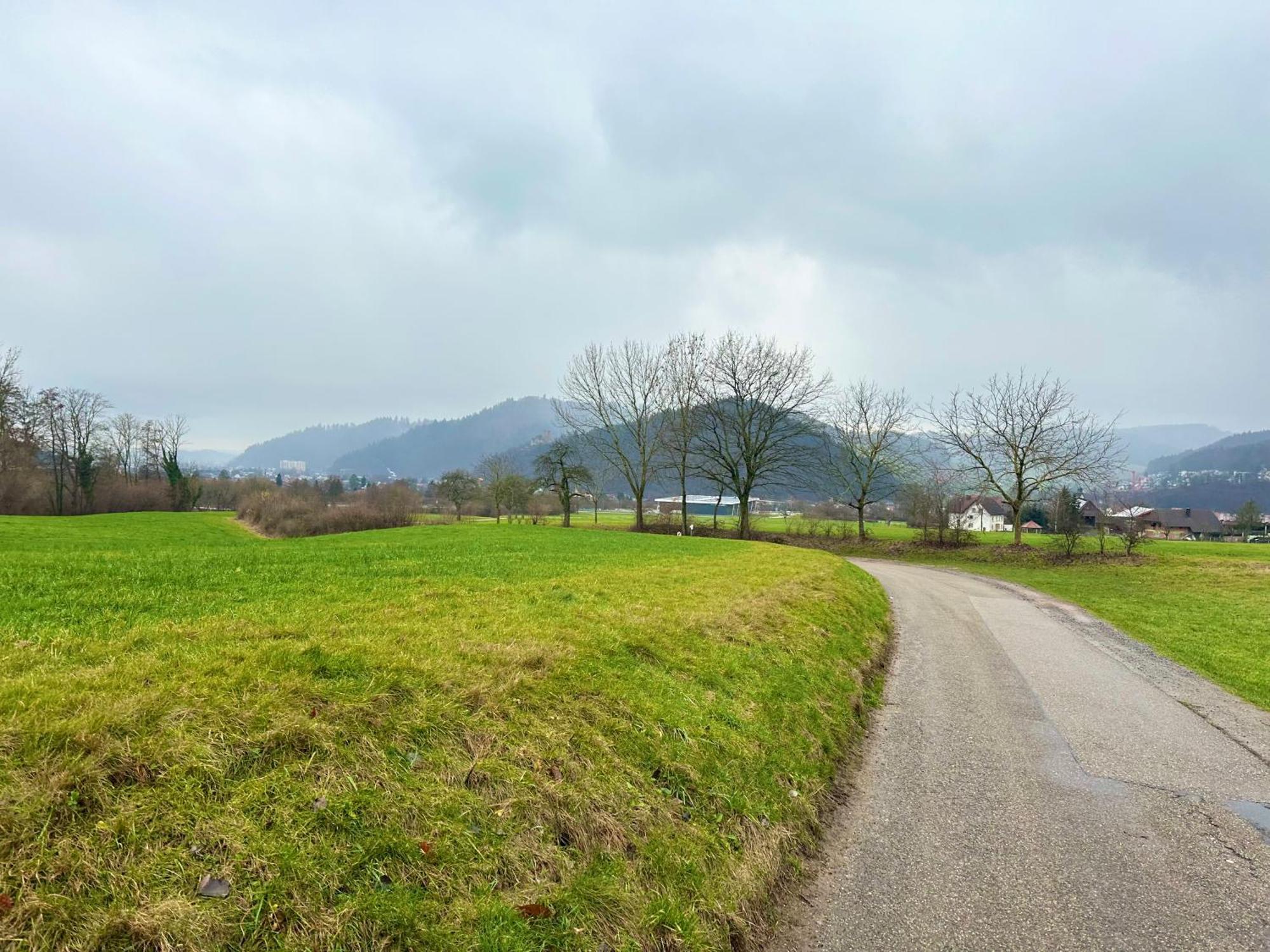 Fewo “Ruhige Momente” In Waldkirch Eksteriør bilde